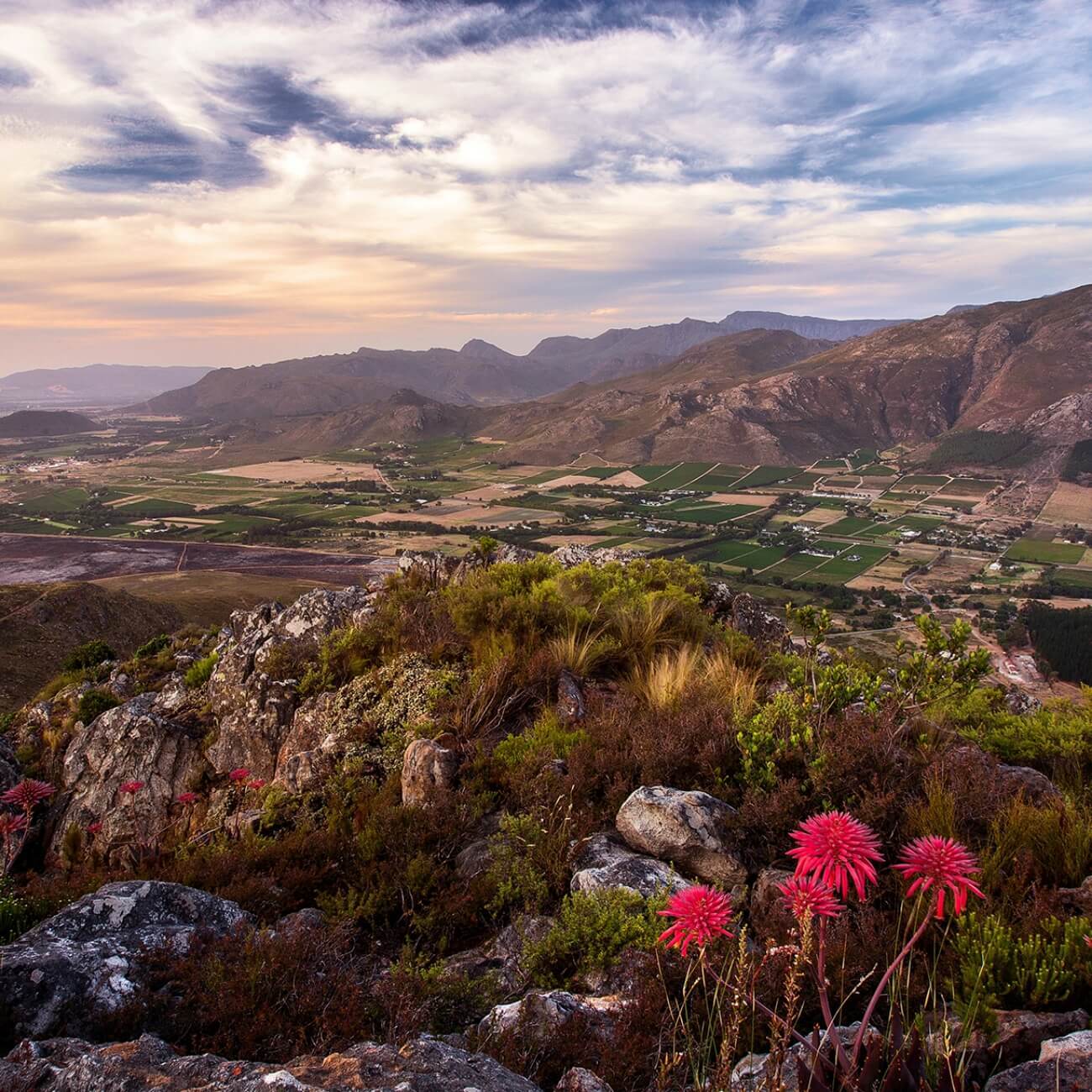 Leeu Collection South Africa Experiences Franschhoek Festivals & Events